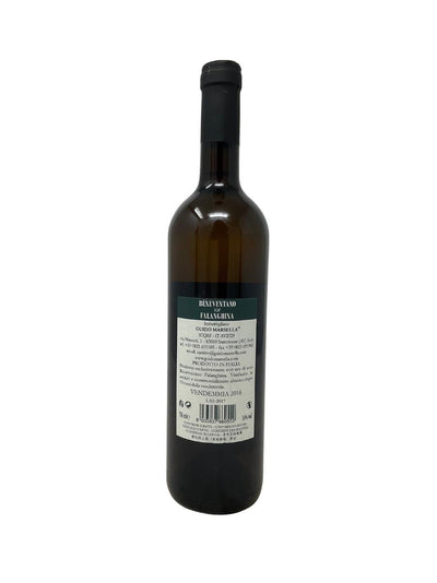 Falanghina Beneventana - 2016 - Poggio Reali - Vins les plus rares